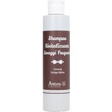 ANTOS uomo revitalizacijski šampon Cene