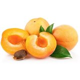  Kajsija 1kg Cene