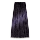 Prosalon Farba za kosu COLORART - Tamni plavi patlidžan 3/2 100g Cijene