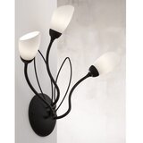 Jupiter 2059 - zidna lampa gloriosa 3xG9/14W/230V crna | Eponuda.com