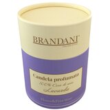 Brandani Dišeča sveča iz sojinega voska čas gorenja 35 h – | Shoptok.si