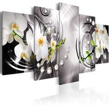  Slika - Orchid pearls and diamonds 200x100 Cijene
