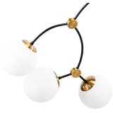 Toolight Stropni luster BLACK MAT APP1673-8CP | shoptok.hr