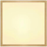 Lesnina-XXXL stropna led-svetilka 25/25 cm | Shoptok.si