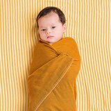 DockATot ® pelene za povijanje golden stripe / pumpkin spice | shoptok.hr