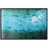  Plakat - Group of Dark Fish 60x40 Crni okvir | shoptok.hr