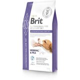 Brit veterinary diet Brit GF Veterinarska dieta za pse - Gastrointestinal Low Fat 2 x 12 kg Cene