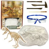  Edukativna i kreativna igračka za male paleontologe - vađenje kostura dinosaura iz gipsa | Shoptok.si