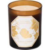  Scented Candle Chestnut - 1 k. | Shoptok.si