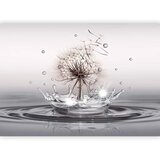  Foto tapeta - Wind Drops 147x105 | shoptok.hr
