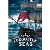 forgotten seas (pc) steam key global  forgotten seas (pc) steam key global Slike