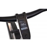 Capriolo E-BIKE BELT DRIVE crno-sivo 925841 | ePonuda.com