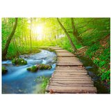  Tapeta - Green forest 350x245 | shoptok.hr