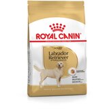 Royal_Canin labrador adult 12 kg | Shoptok.si