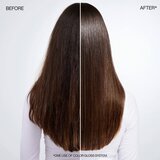 Redken ACIDIC COLOR GLOSS Holiday set za sjaj | ePonuda.com