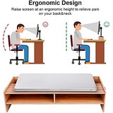 EJOYOUS Leseno stojalo za monitor s predali | Shoptok.si