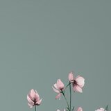 Mömax Posteljnina Wiese | Shoptok.si