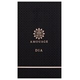Amouage Dia parfumirana voda za moške 100 ml | Shoptok.si