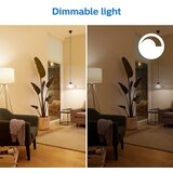  SET 2x LED prigušiva sijalica Philips A60 E27/8W/230V Wi-Fi | Eponuda.com
