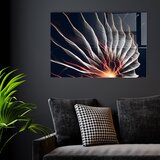 Atelier Del Sofa Slika od kaljenog stakla 30x45cm | Eponuda.ba