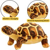 Plišana igračka - kornjača za maženje 25cm - smeđa | shoptok.hr