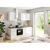 MID.YOU KUHINJSKI BLOK BREZ APARATOV | Shoptok.si