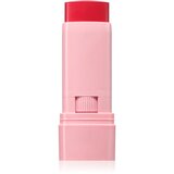 Astra Make-up IDENTISTICK kremasto rdečilo v paličici 03 - Berry Being 1 kos | Shoptok.si