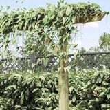  Vrtna pergola 205 x 40 x 203 cm drvena | Eponuda.ba