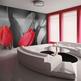 Tapeta - Red tulips on black and white background 300x231 Cijene