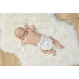 KIT&KIN pelene veličina 1, (2-5 kg) 38 kom | Shoptok.si