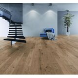 Kaindl laminat masterfloor standard oak wildlife 8 mm K2142 av V4 32 | shoptok.hr