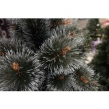 G-Trees Gusta novogodišnja jelka Bor sa belim vrhovima 180 cm | ePonuda.com