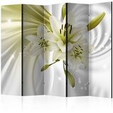  Paravan u 5 dijelova - Green Captivation II [Room Dividers] 225x172 | shoptok.hr