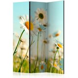Artgeist PARAVAN 135/172/3 cm svetlo modra, svetlo zelena | Shoptok.si