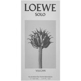 Loewe Solo Vulcan parfemska voda za muškarce 100 ml | shoptok.hr