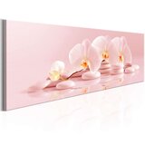  Slika - Subtle Calm 135x45 | shoptok.hr