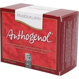 Original Masqueliers OPC Anthogenol - 75 kaps. Cene