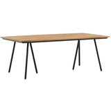 Venture Home Chan pravokutni vrtni blagovaonski stol 200 &amp;times; 100 cm, prirodna boja drva Slike