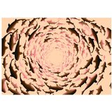  Tapeta - Shoal... 100x70 | shoptok.hr