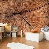  Tapeta - Tree trunk cross section 300x231 Cijene