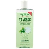 Equilibra EQ Hyaluronic Green Tea šampon za kosu 265 ml | Eponuda.com