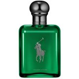 Polo Ralph Lauren Polo Cologne Intense 125 ml parfemska voda za moške Cijene
