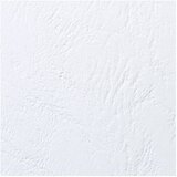 Korice ZA SPIRALNI UVEZ 250G KARTON RELJEFNE A4 PK100 GBC CE040070 BIJELE | Shoptok.si
