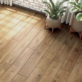 AGT Effect Premium Atlas 12/33 4V Cene