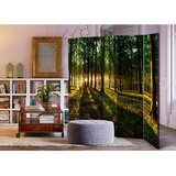 Artgeist Paravan Morning In The Forest I, 5-Delni, Akustičen | Shoptok.si