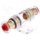 Kettz kućište osigurača acv AGU3801-01G pozlaćeno | ePonuda.com