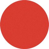 Provida Organics bio rdečilo za ustnice v posodici - 09 Orange Heaven Cene