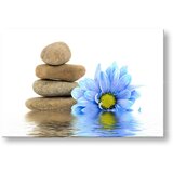  Slike na platnu feng shui (moderne slike na platnu) | ePonuda.com