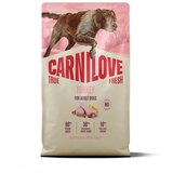 Carnilove Dog True Fresh Adult, briketi - puran 4 kg | Shoptok.si