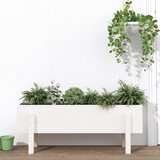 vidaXL Visoka greda bela 101x30x38 cm trdna borovina Cene